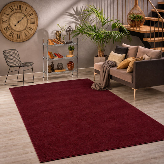 Relax Pflaume Teppich fuer Wohnzimmer, Zimmer und Flur – Rutschfeste Unterseite, Maschinenwaschbar, Laeufer